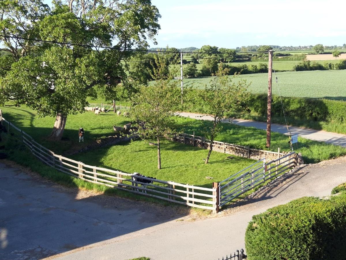 Upper Eyton Farmhouse B&B Alberbury 外观 照片