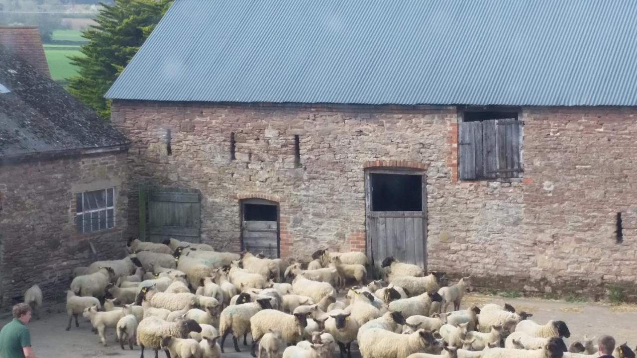 Upper Eyton Farmhouse B&B Alberbury 外观 照片