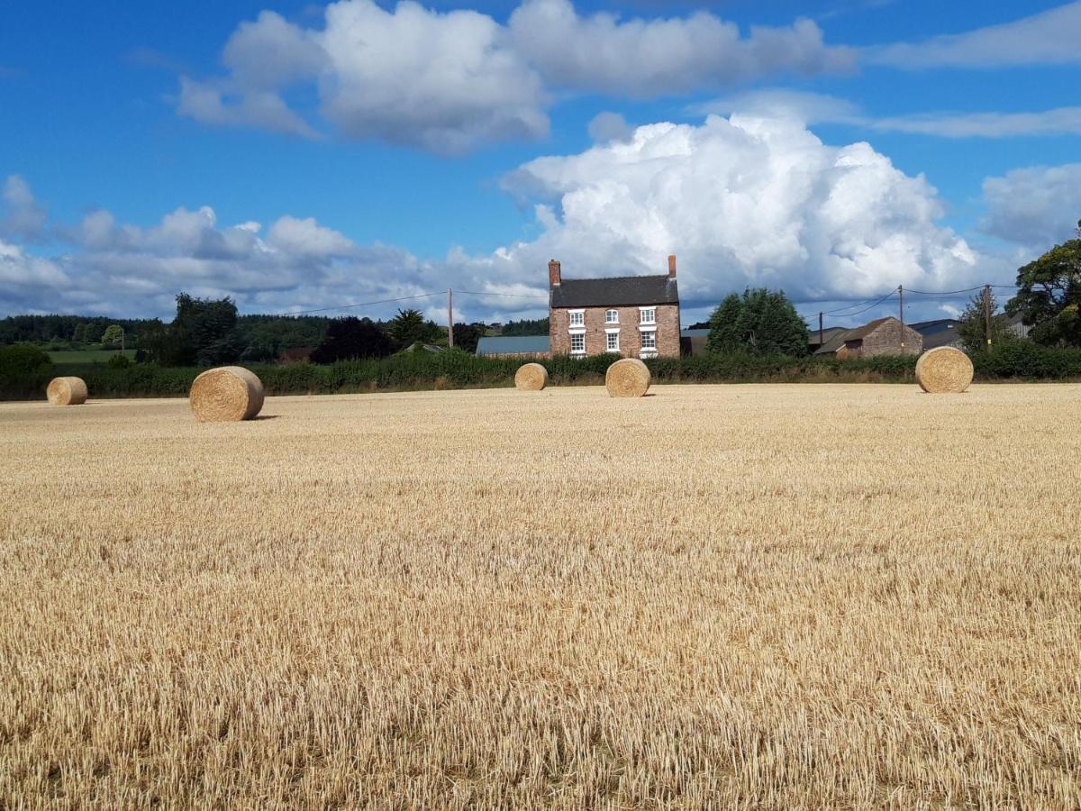Upper Eyton Farmhouse B&B Alberbury 外观 照片
